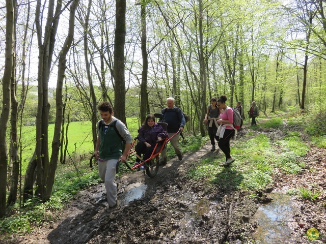 Randonnée joëlettes à Cerfontaine