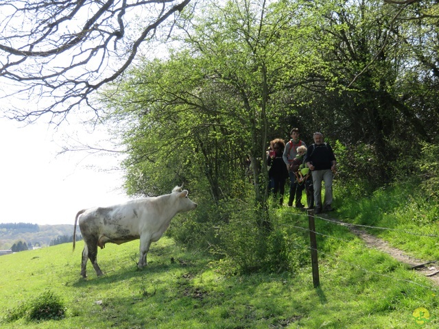 Randonnée joëlettes à Cerfontaine