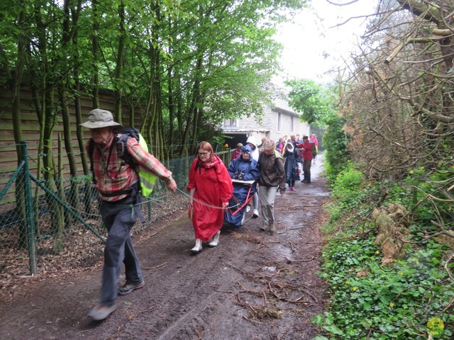 Randonnée joëlettes à Strud