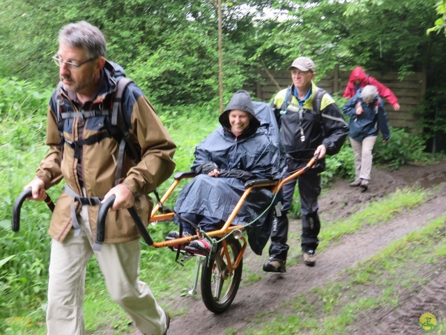 Randonnée joëlettes à Strud