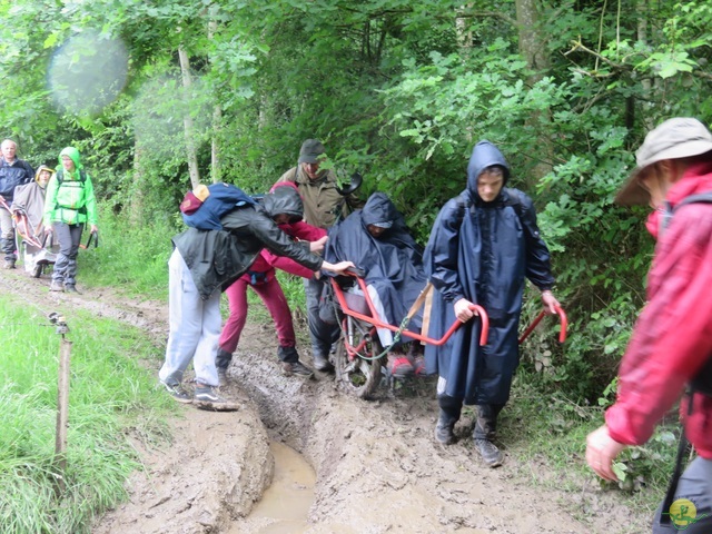 Randonnée joëlettes à Strud