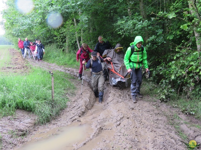 Randonnée joëlettes à Strud