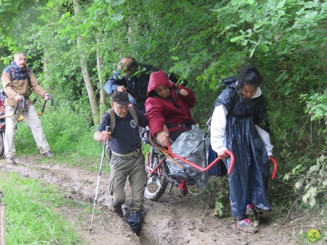 Randonnée joëlettes à Strud