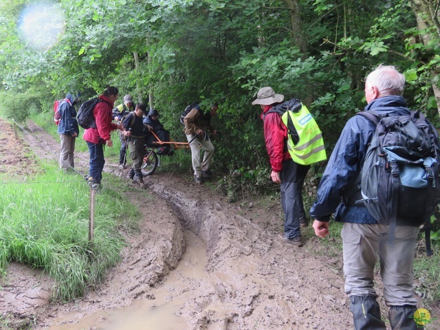 Randonnée joëlettes à Strud