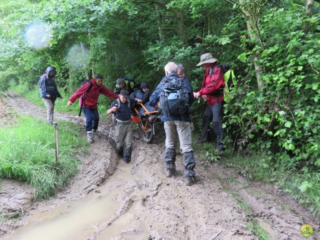 Randonnée joëlettes à Strud