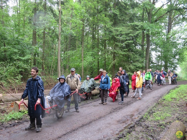 Randonnée joëlettes à Strud