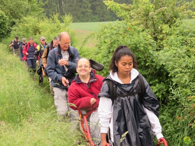 Randonnée joëlettes à Strud