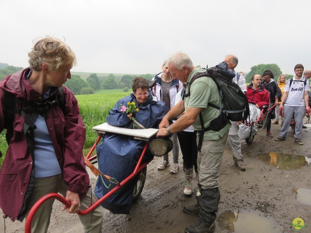 Randonnée joëlettes à Strud