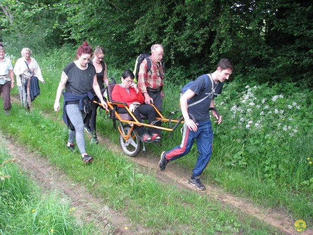 Randonnée joëlettes à Chassepierre