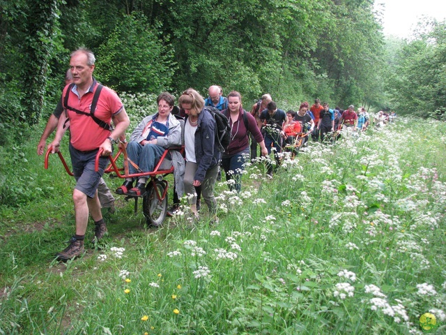 Randonnée joëlettes à Chassepierre