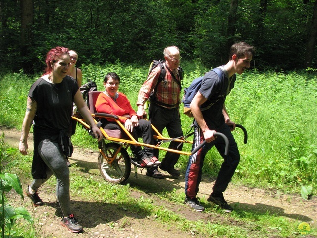 Randonnée joëlettes à Chassepierre