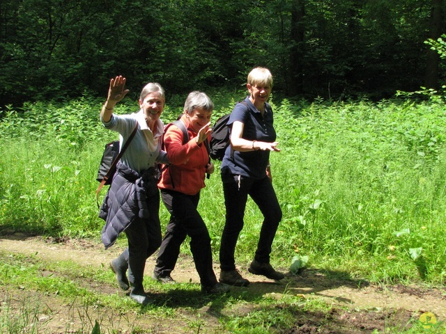 Randonnée joëlettes à Chassepierre