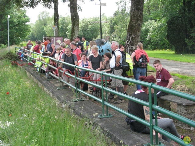 Randonnée joëlettes à Chassepierre