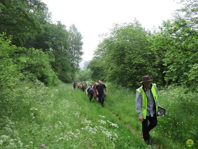 Randonnée joëlettes à Chassepierre