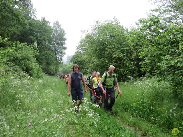 Randonnée joëlettes à Chassepierre