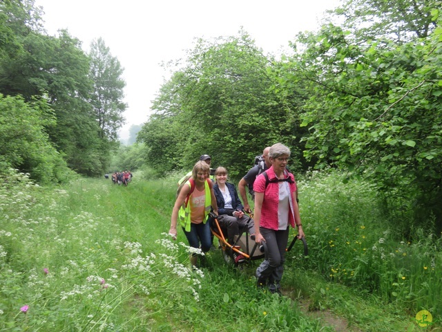 Randonnée joëlettes à Chassepierre