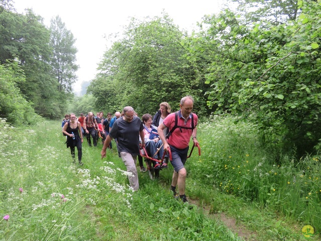 Randonnée joëlettes à Chassepierre