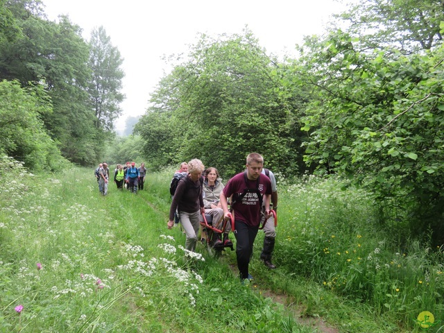 Randonnée joëlettes à Chassepierre