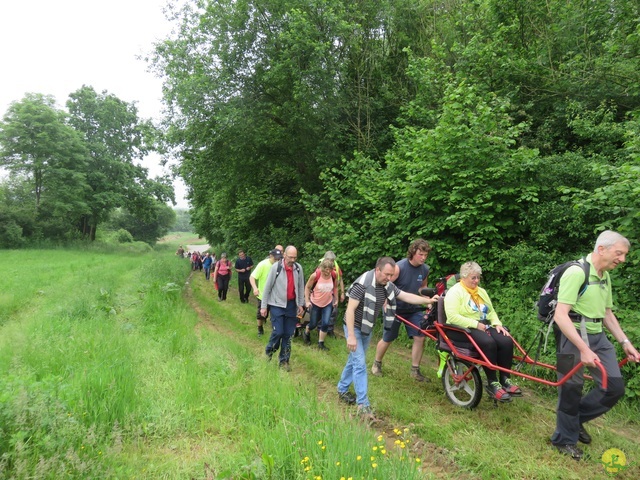 Randonnée joëlettes à Chassepierre