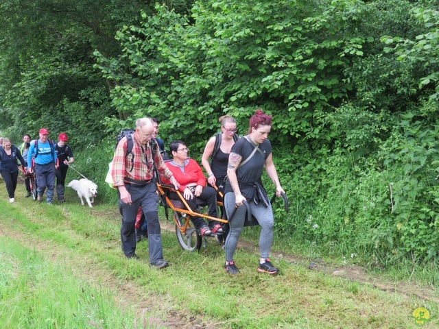 Randonnée joëlettes à Chassepierre