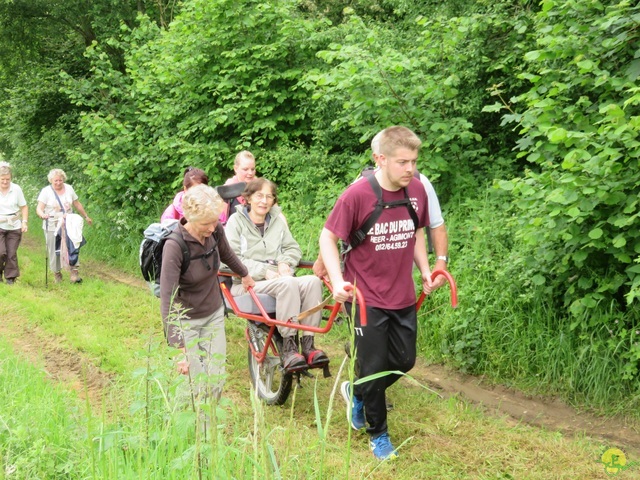 Randonnée joëlettes à Chassepierre