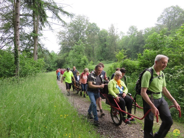 Randonnée joëlettes à Chassepierre