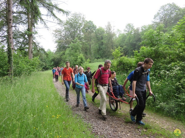 Randonnée joëlettes à Chassepierre