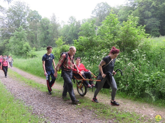 Randonnée joëlettes à Chassepierre