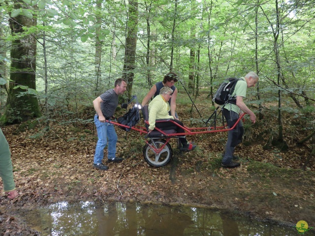 Randonnée joëlettes à Chassepierre