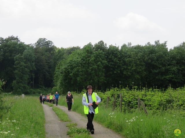 Randonnée joëlettes à Chassepierre