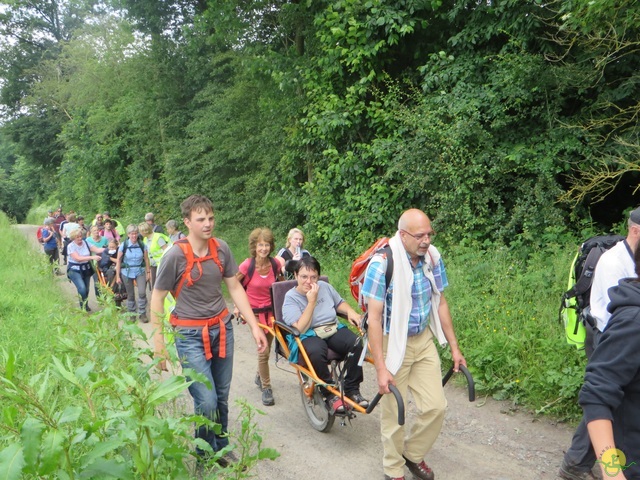 Randonnée joëlettes à Villers-la-Ville