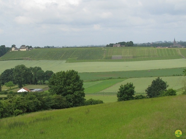 Randonnée joëlettes à Lanaye