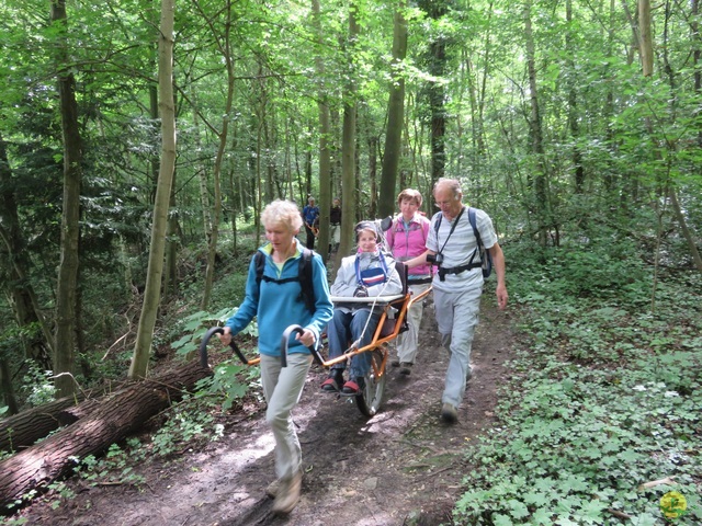 Randonnée joëlettes à Lanaye