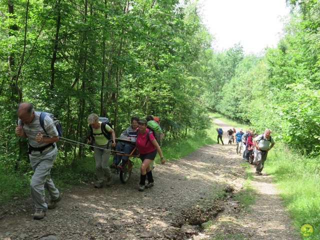 Randonnée joëlettes à Lanaye