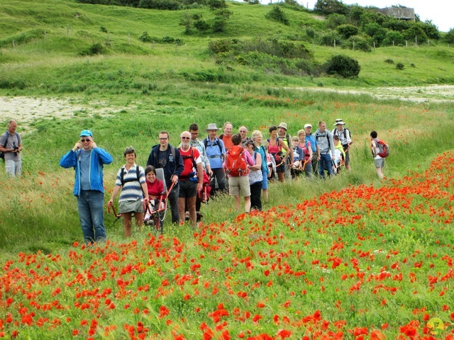 Randonnée joëlettes à Escalles