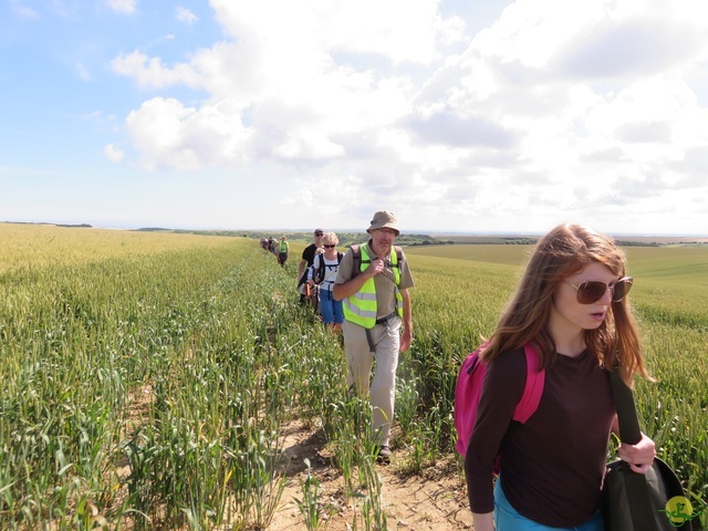 Randonnée joëlettes à Escalles