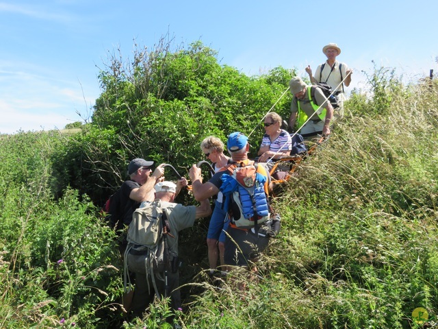 Randonnée joëlettes à Escalles