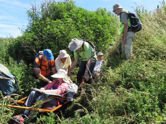 Randonnée joëlettes à Escalles