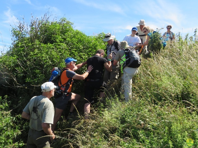 Randonnée joëlettes à Escalles