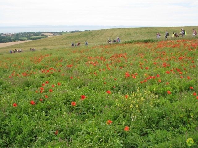 Randonnée joëlettes à Escalles