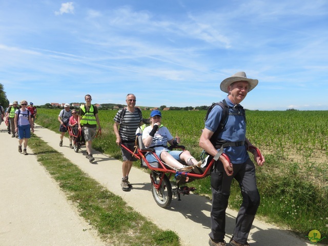 Randonnée joëlettes à Escalles