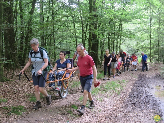 Randonnée joëlettes à Marbehan