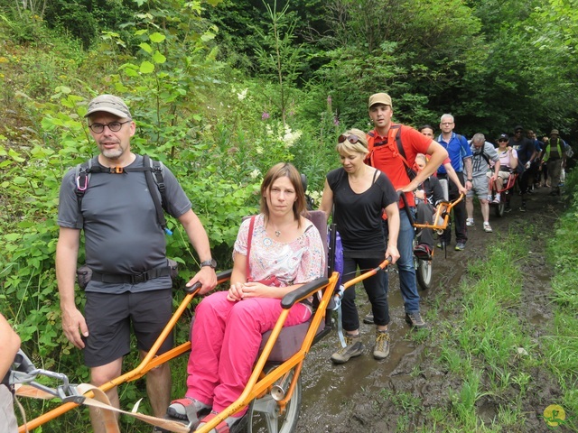 Randonnée joëlettes à Marbehan