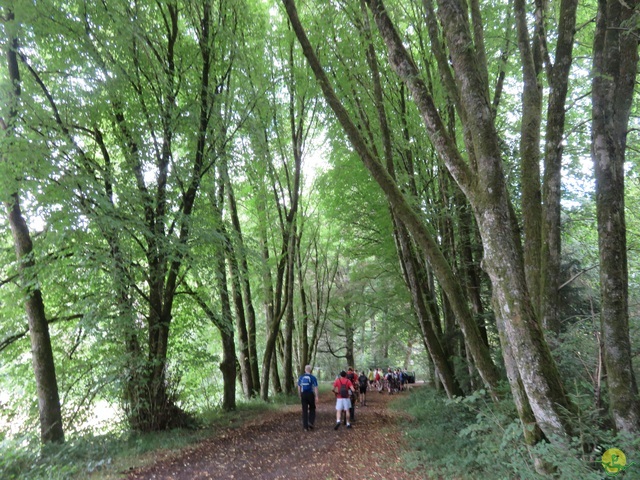 Randonnée joëlettes à Marbehan