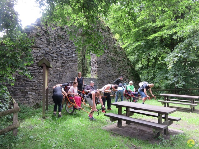 Randonnée joëlettes à Marbehan