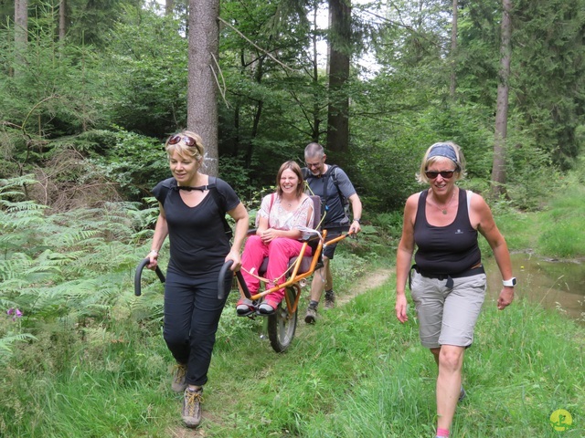 Randonnée joëlettes à Marbehan