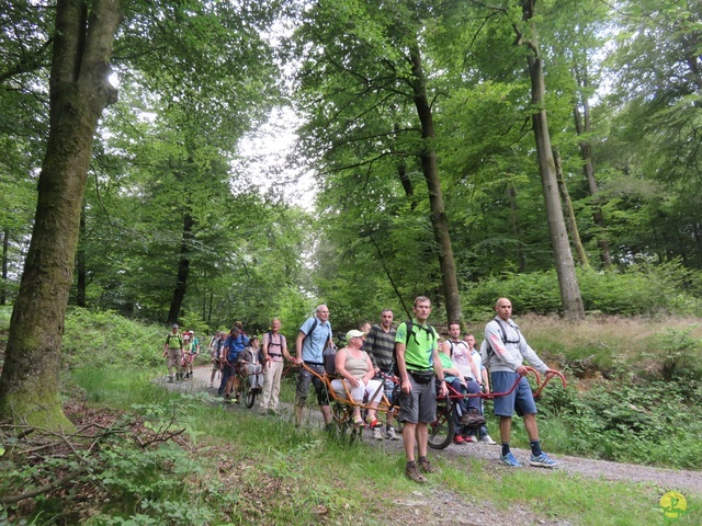 Randonnée joëlettes à Marbehan