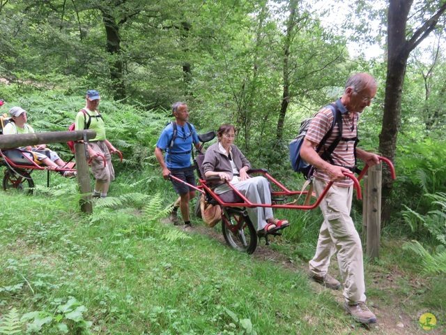 Randonnée joëlettes à Marbehan