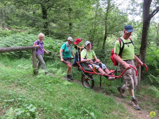 Randonnée joëlettes à Marbehan