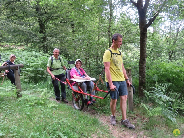 Randonnée joëlettes à Marbehan